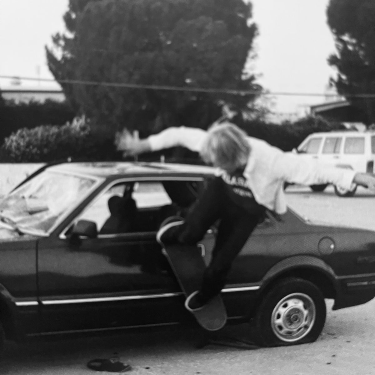 Ed Templeton)(Coming to grips) – Humble Books