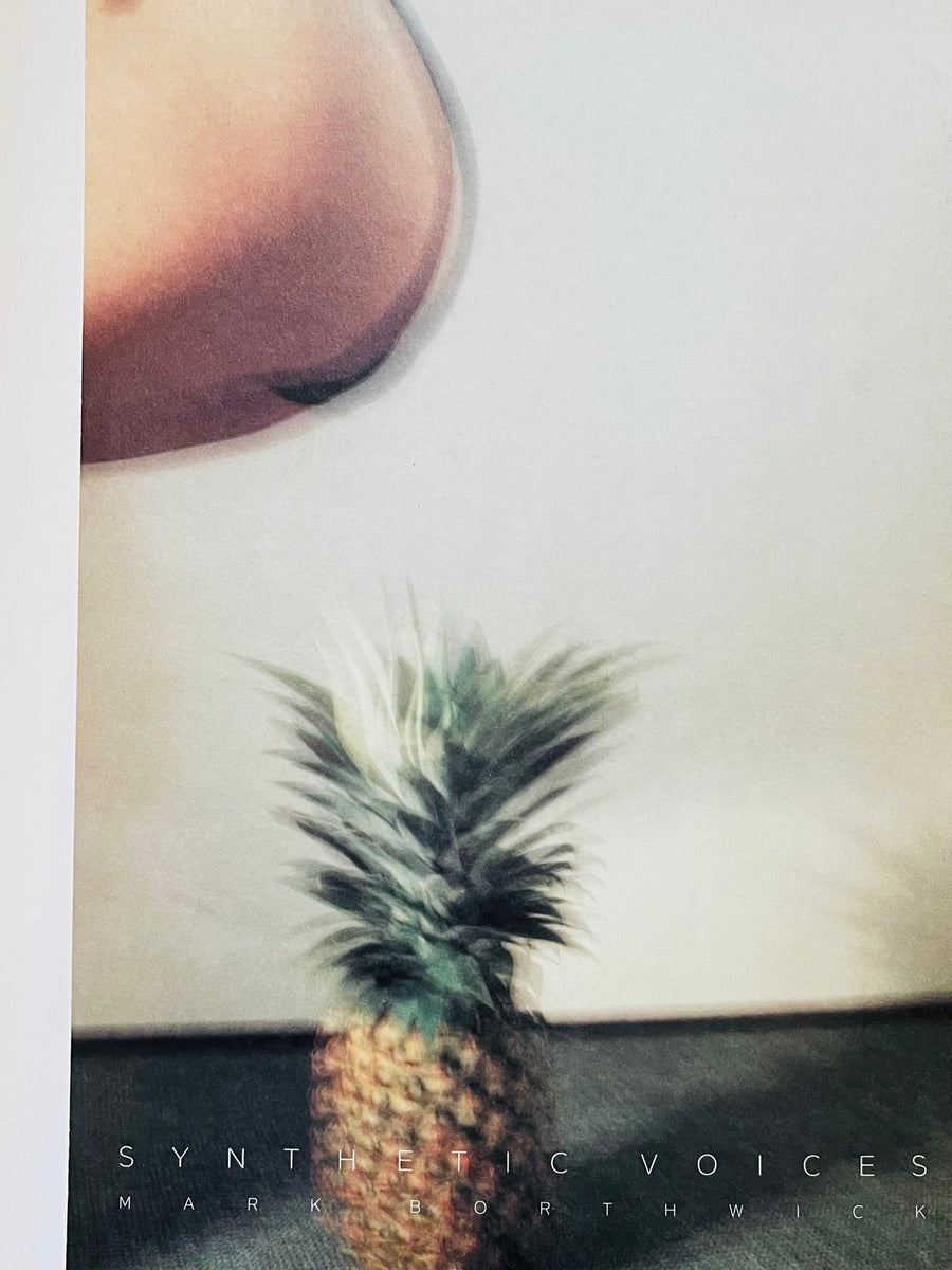 Mark Borthwick)(Synthetic Voices) – Humble Books