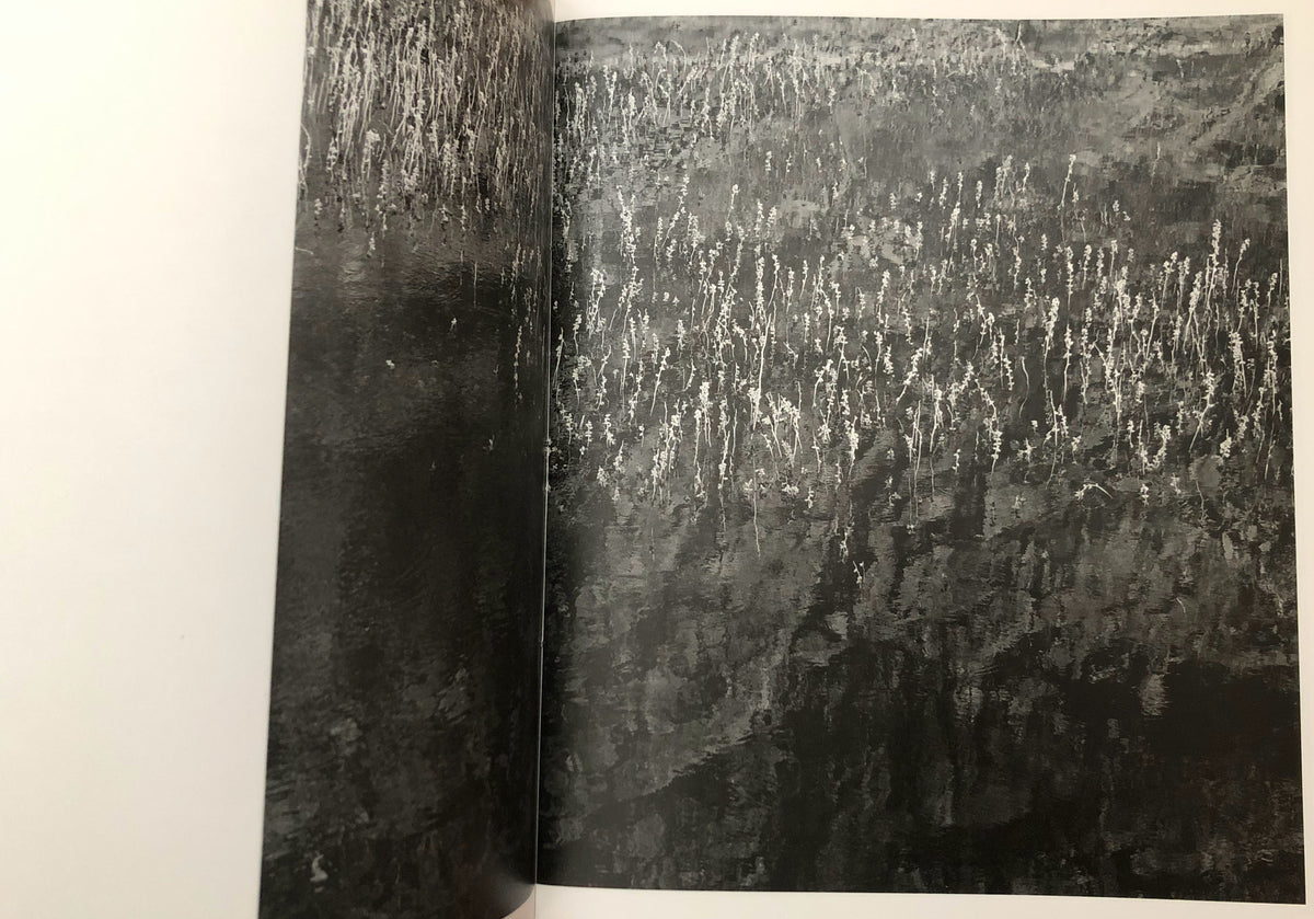 Awoiska van der Molen)(Blanco) – Humble Books