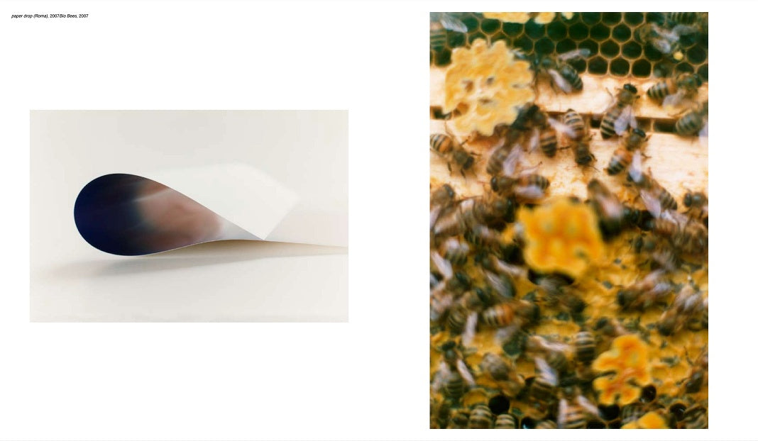 Wolfgang Tillmans)(Serpentine Gallery) – Humble Books