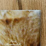 (Elein Fleiss , Olivier Zahm)(L’hiver de l’amour bis)