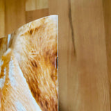 (Elein Fleiss , Olivier Zahm)(L’hiver de l’amour bis)