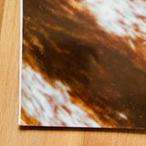 (Elein Fleiss , Olivier Zahm)(L’hiver de l’amour bis)