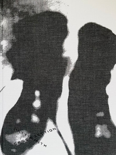 (Patti Smith)(Cross Section)