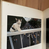 (Masahisa Fukase)(The Strawhat Cat)