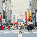 (Atsuki Sumida)(Kittens in Japan)