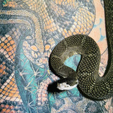 (Tattoo Time)(Life & Death Tattoos)