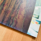 (Cosmic Wonder)(The dress attachable a wall)