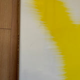 (Akira Gomi)(Yellows 2.0 Tokyo 1993 Photographs)