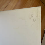 (Issey Miyake)(Photographs by Irving Penn)(Signed copy)