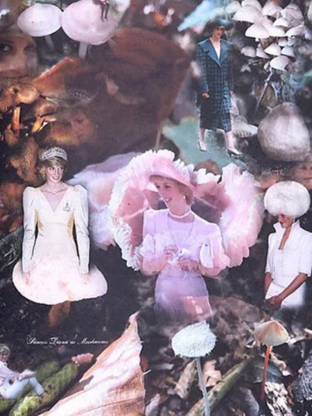 (Lulu Williams)(Princess Diana as Mushrooms)