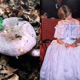 (Lulu Williams)(Princess Diana as Mushrooms Volume II)