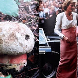 (Lulu Williams)(Princess Diana as Mushrooms Volume II)