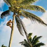 (Patagonia)(Unexpected)(Japanese edition)