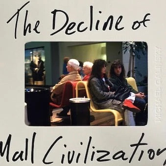(Michael Galinsky)(The Decline of Mall Civilization)
