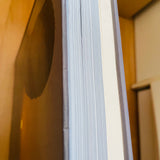 (Mike Kelley)(Day Is Done)