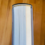 (Mike Kelley)(Day Is Done)