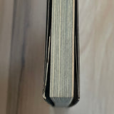 (The Testimony of Nagasaki)