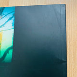 (Dennis Morris)(RESSURECTION THE STONE ROSES DOCUMENTS)