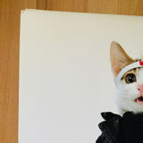 (Namennayo)(Sorry Cats)