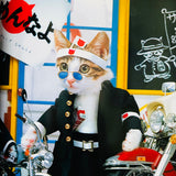 (Namennayo)(Sorry Cats)