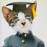 (Namennayo)(Sorry Cats)