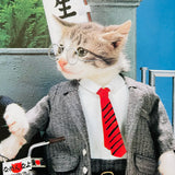 (Namennayo)(Sorry Cats)