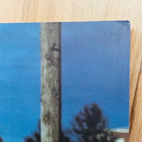 (Cruel and Tender)(The Real in the 20th Century Photograph)