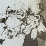 (Sarah Moon)(D’un jour à l’autre)