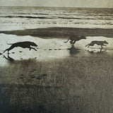 (Sarah Moon)(D’un jour à l’autre)