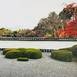 (Masayoshi Sukita)(Time Bowie Kyoto Sukita)