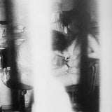 (Ikko Kagari)(The Nozoki)