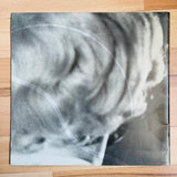 (Cindy Sherman)(Laforet Museum Harajuku 23/4-4/5 1984)