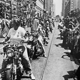 (The Gay Picture Book)