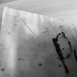 (The Gay Picture Book)