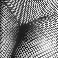 (Daido Moriyama)(Tights in Shimotakaido)