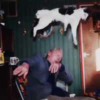 (Richard Billingham)(Ray is'n Witz)