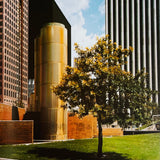 (Wim Wenders)(Written In The West)