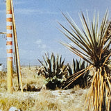 (Wim Wenders)(Paris Texas)