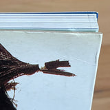 (Alfred Steffen)(Portrait of a generation)