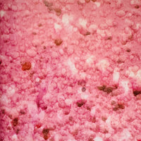 (Wolfgang Tillmans)(Manual)
