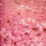 (Wolfgang Tillmans)(Manual)