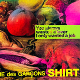 (Werk Magazine No.7 & 8)(The Inside Of A Shirt in collaboration with COMME des Garçons)