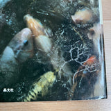 (Takuma Nakahira)(Aratanaru Gyoshi)