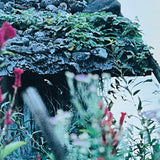 (Takuma Nakahira)(Aratanaru Gyoshi)