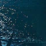 (Takuma Nakahira)(Aratanaru Gyoshi)