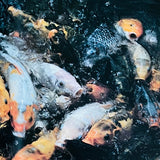 (Takuma Nakahira)(Aratanaru Gyoshi)