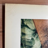 (Gilles Larrain)(Idols)