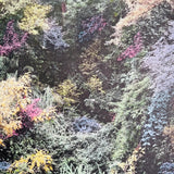 (Vasantha Yogananthan)(Dandaka)(Signed copy)