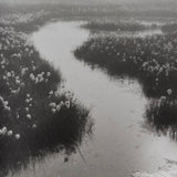 (Agnieszka Sosnowska)(FÖR)(Signed)